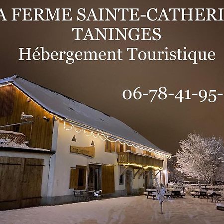 La Ferme Sainte Catherine Villa Taninges Exterior photo